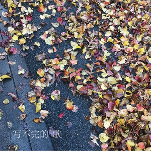 写不完的歌(Prod.Thaibeats)