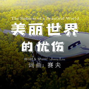 美丽世界的忧伤