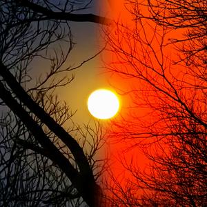 离歌（Prod EVOMUSIC&知晏）