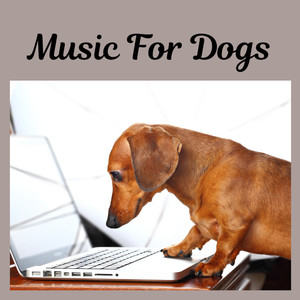 Music for Dogs Peace