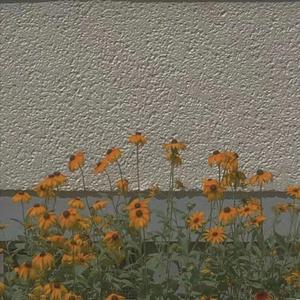 别掉入圈套