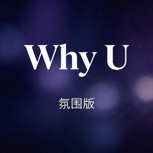 Why U（氛围版）