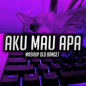 DJ OLD AKU MAU APA X AKIMILAKU MASHUP