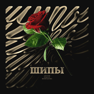 Шипы (Original Mix)