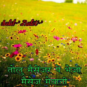 तोलु मैसेंजर पे भेजो मैसेज मेवाती