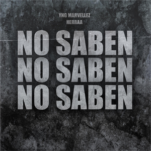 No Saben (feat. Herraa)