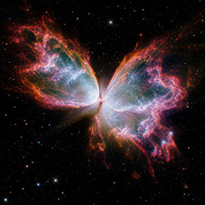 Papillon Galaxy Sax