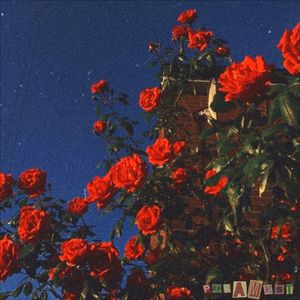 Эти строчки останутся здесь