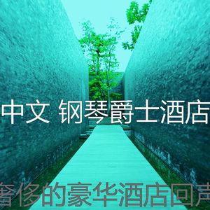 一尘不染酒吧酒店印象数