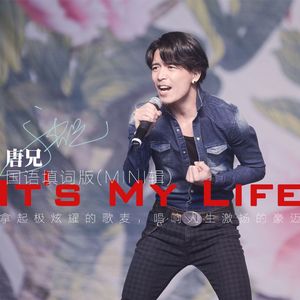 It's My Life (国语填翻)
