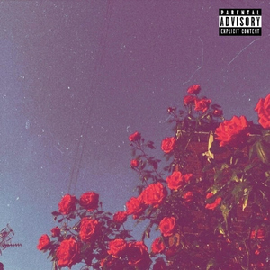 Show Out (feat. Mikey100K)