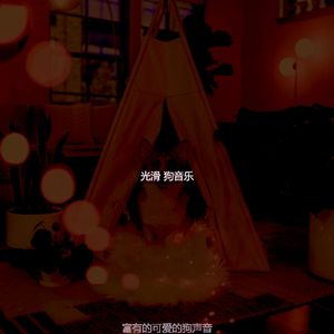 精彩小狗环境