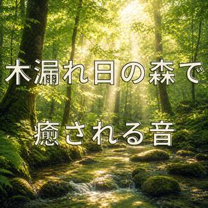 木漏れ日の中でほどける心