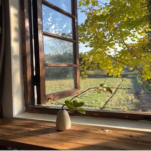 追求自由的踏啊