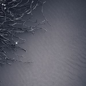 又是一梦又三年