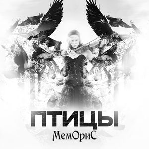 Птицы