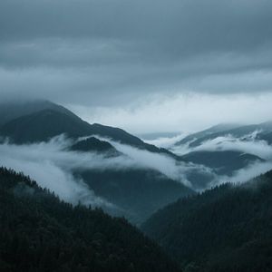 云低山欲雨