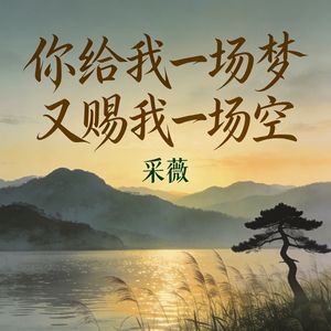 你给我一场梦又赐我一场空