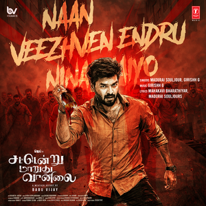 Naan Veezhven Endru Ninaithaiyo (From "Sattendru Maarudhu Vaanilai")
