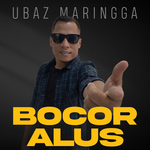 Bocor Alus
