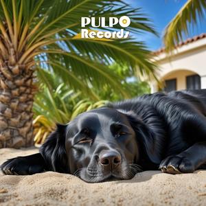 Calma AHORA a tu Perro Nervioso