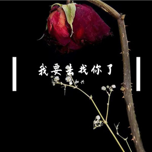 我要去找你了 伴奏