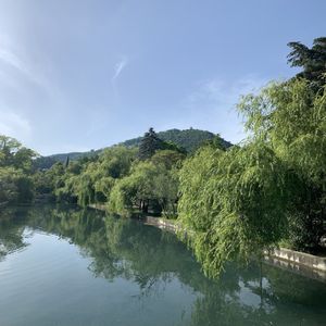 Тоскуя о тебе