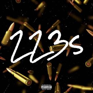 223s