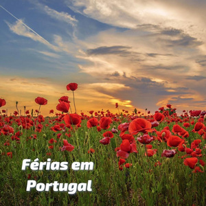 Esse Tão Belo Poema de Amor