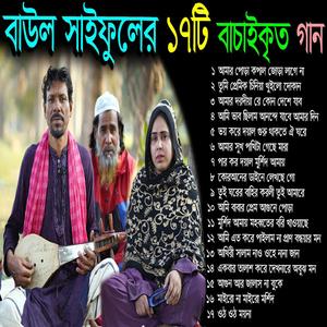 বাউল সাইফুলের ১৭টি দরবারী গান