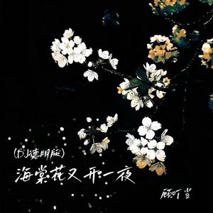 海棠花又开一夜 (DJ德朋版)