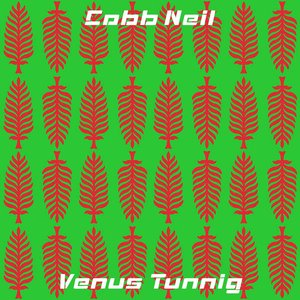 Venus Tunnig (Original mix)