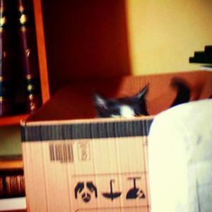 EN K PIENSAS CUANDO T LEVANTAS