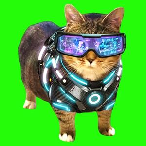 OIIA OIIA VISION Spinning CAT