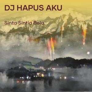 Dj Hapus Aku