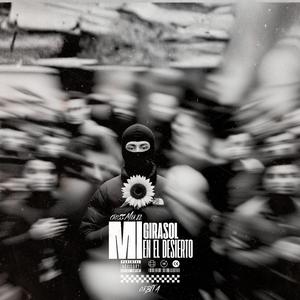 Mi Girasol en el Desierto