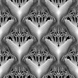NXDE (Cover)