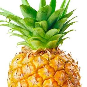 好饮菠萝啤之人（prod by No Birthday）