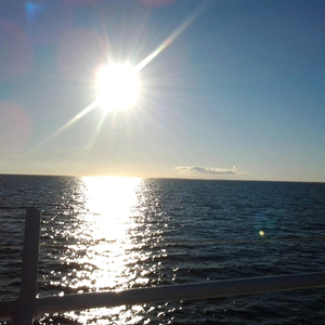 Abominable (feat. Austin Hevey)