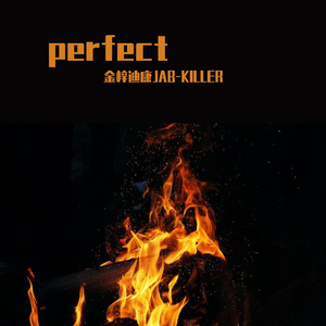 就是嘎嘎棒（PERFECT）