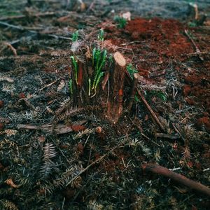 总有人等你回家