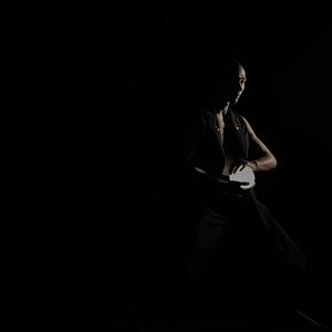 凝固的血液（Blood Coagulation）