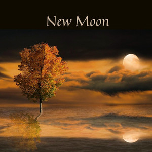 New Moon