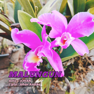 Malungun