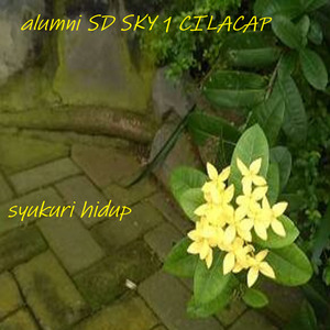 Syukuri Hidup