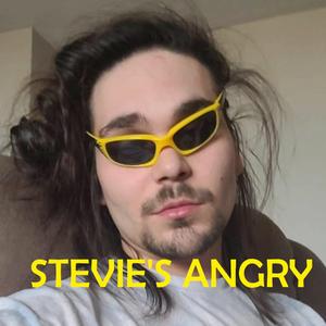 Stevie's Angry