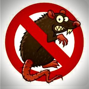 Ratatouille Scaryfield