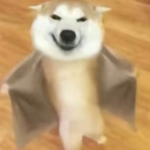 快进