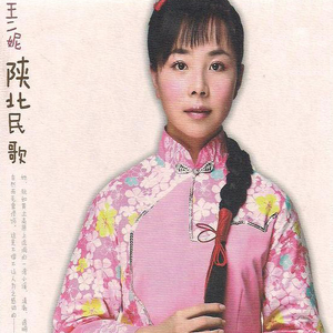 山丹丹开花红艳艳