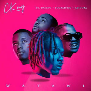 WATAWI (feat. Davido, Focalistic & Abidoza) [Edit]